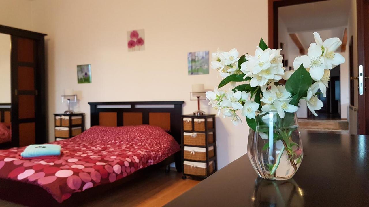 Jasmine Residence Prejmer Экстерьер фото